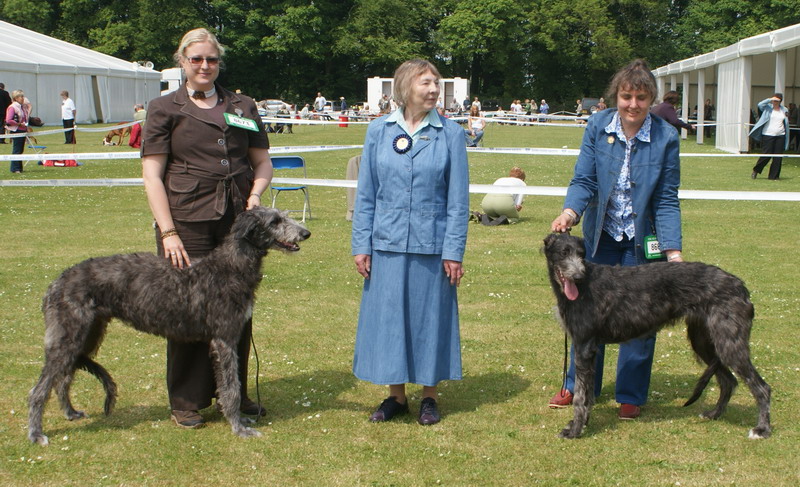 Puppy Winners Bath 2009